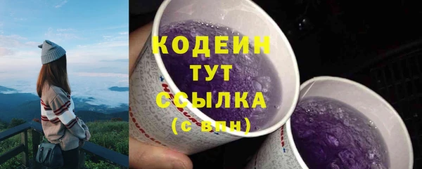 эйфоретик Бикин