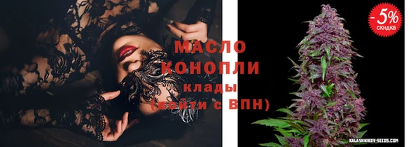 мет Няндома