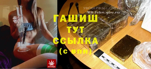 мет Няндома