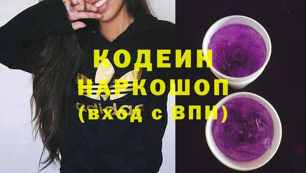 мет Няндома